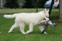 Neo 3 miesiące